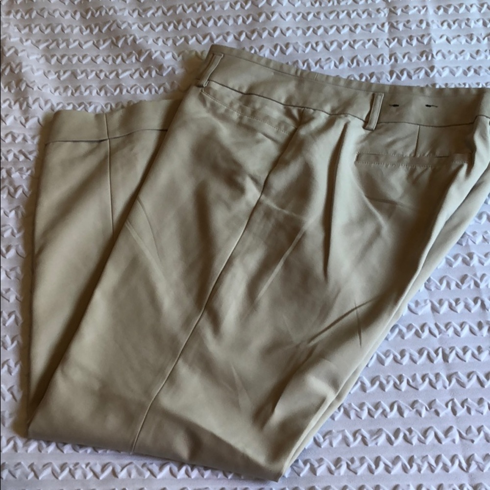 Express columnist ankle pants